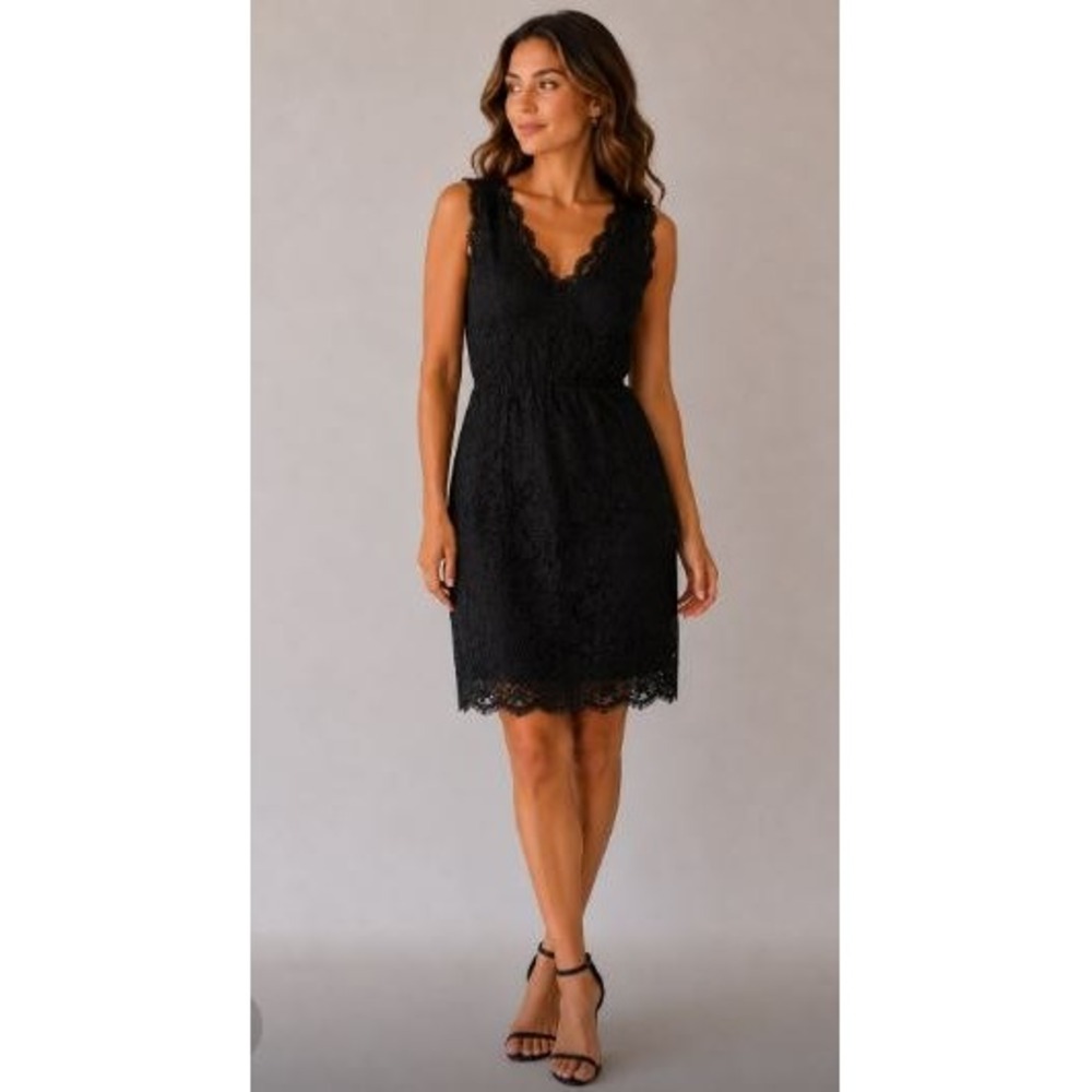 J.Crew Collection Lace Sheath Dress Womens 4 Black  Silk Lined LBD Romantic Goth